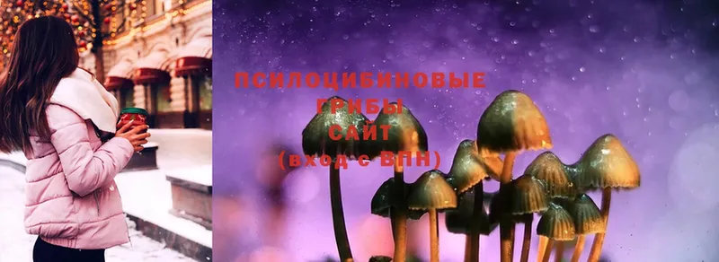 Галлюциногенные грибы MAGIC MUSHROOMS  цены наркотик  Оленегорск 